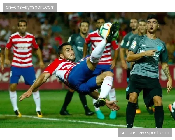 通讯：格拉纳达球迷在球队提前降级后，依然高歌支持至终场